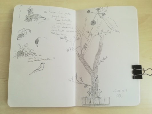 sketches_2_botanicalgarden_bygoldcrestblog2019